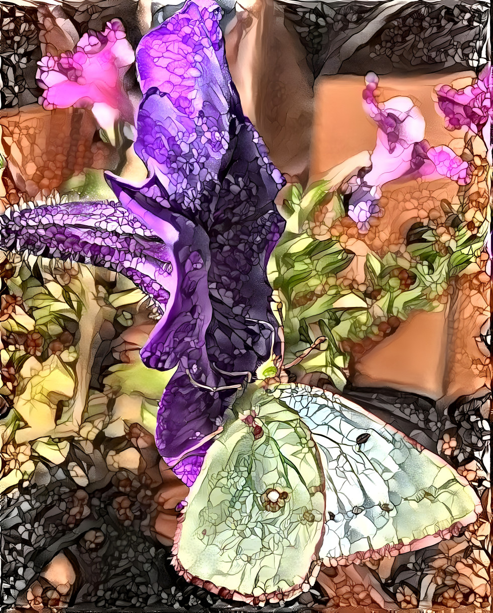 butterfly on purple petunia