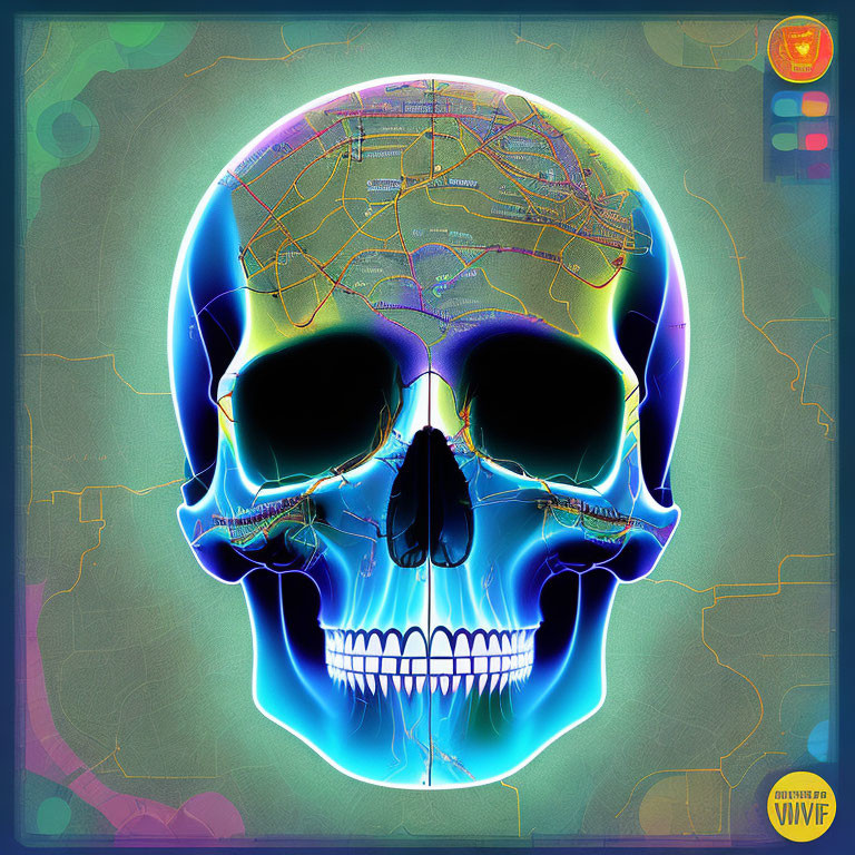 Vivid human skull artwork with map and circuit patterns on dark backdrop