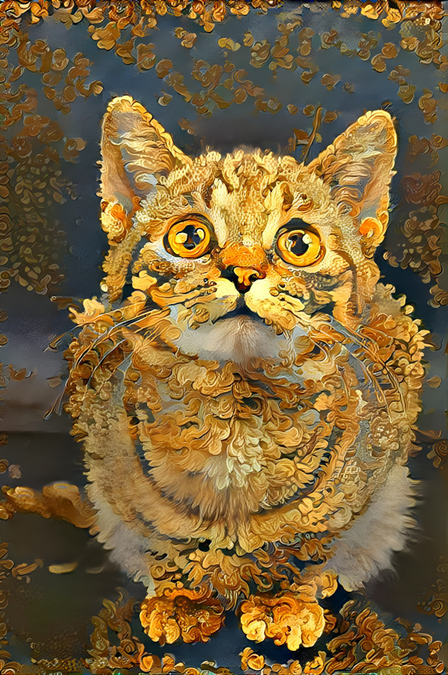 The golden cat