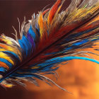 Colorful Abstract Digital Art: Dynamic Feather-Like Strands on Warm Gradient