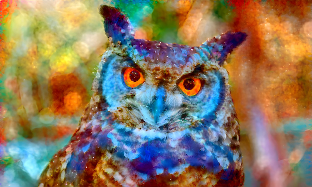 Cosmic Owl