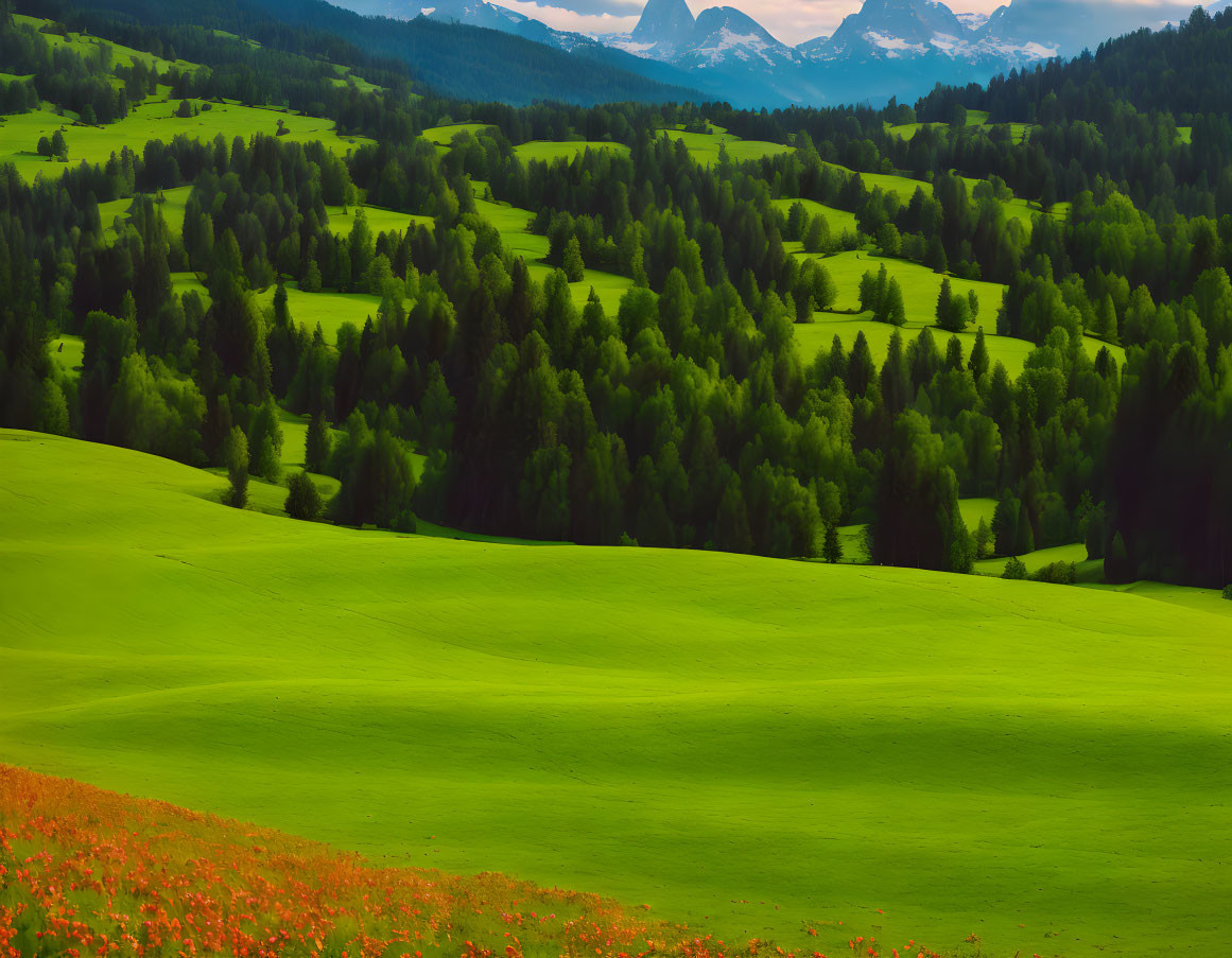 Vibrant landscape of green hills, red wildflowers, and distant mountains