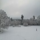 Snowy landscape with fir trees, wooden cabin, sled rider, bright cloudy sky