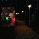 Mystical forest at night with glowing bioluminescent plants and pod-like structure