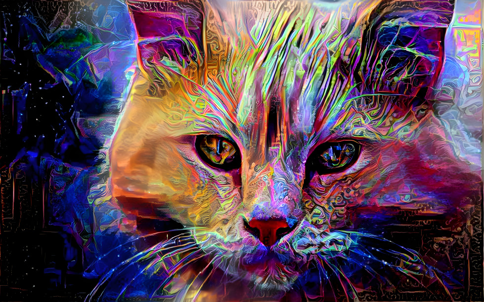 Abstract Cat