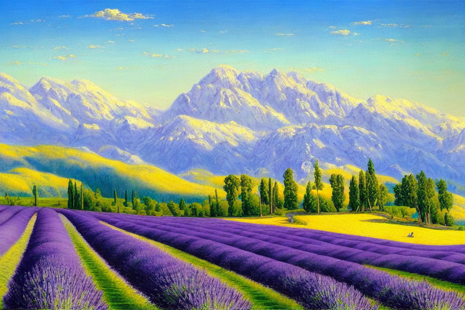 Colorful painting: Lavender field, purple flowers, snow-capped mountains, blue sky