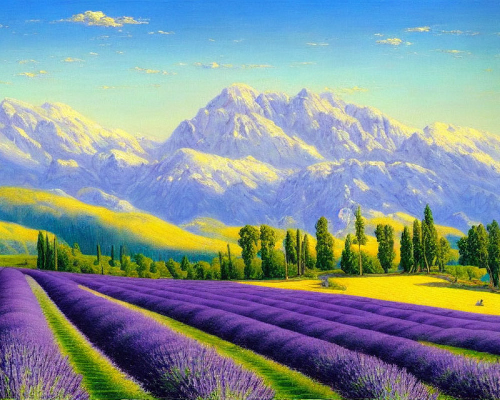 Colorful painting: Lavender field, purple flowers, snow-capped mountains, blue sky