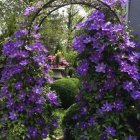 Serene forest landscape with purple flowers, greenery, misty mountains, and soft sunlight