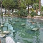 Ancient ruins mirrored in serene water with ducks and greenery