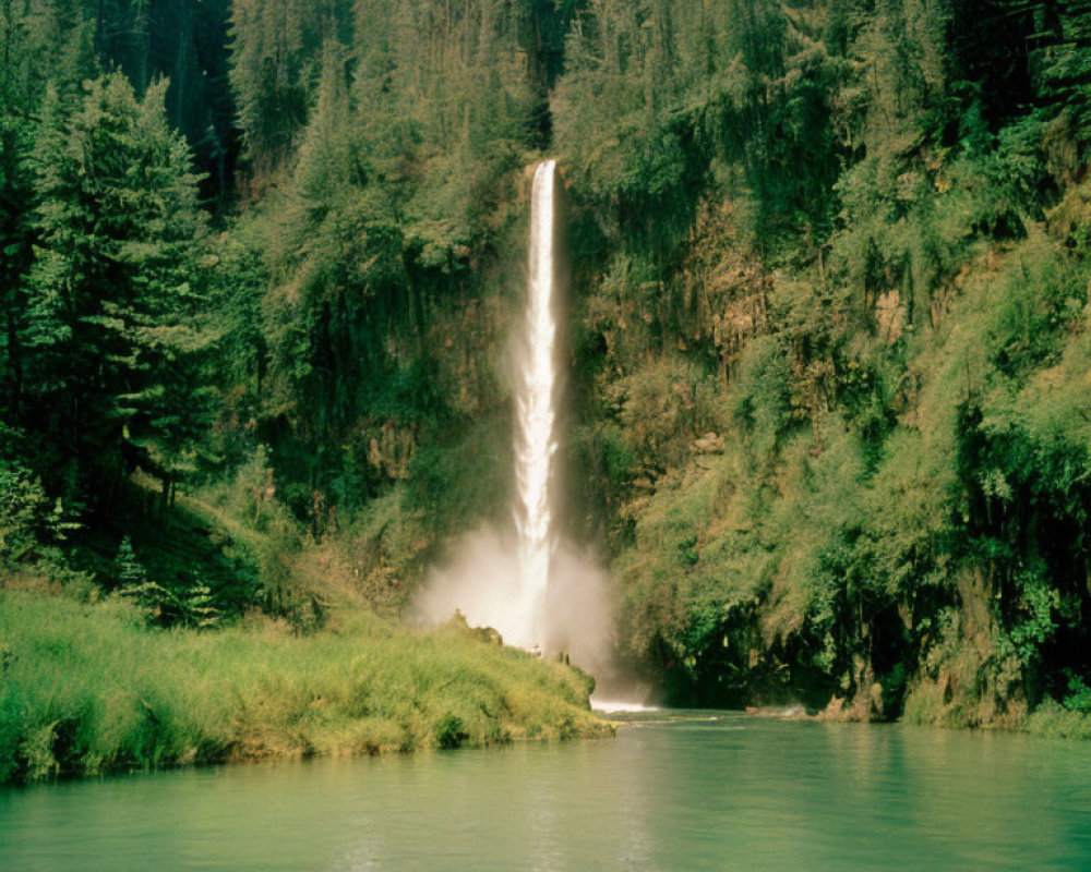 Tranquil waterfall flowing into lush forest river