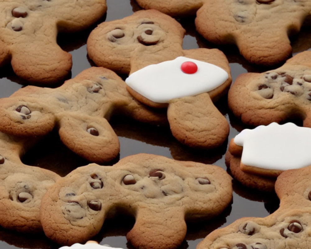 Assorted freshly baked cookies with chocolate chips and white icing