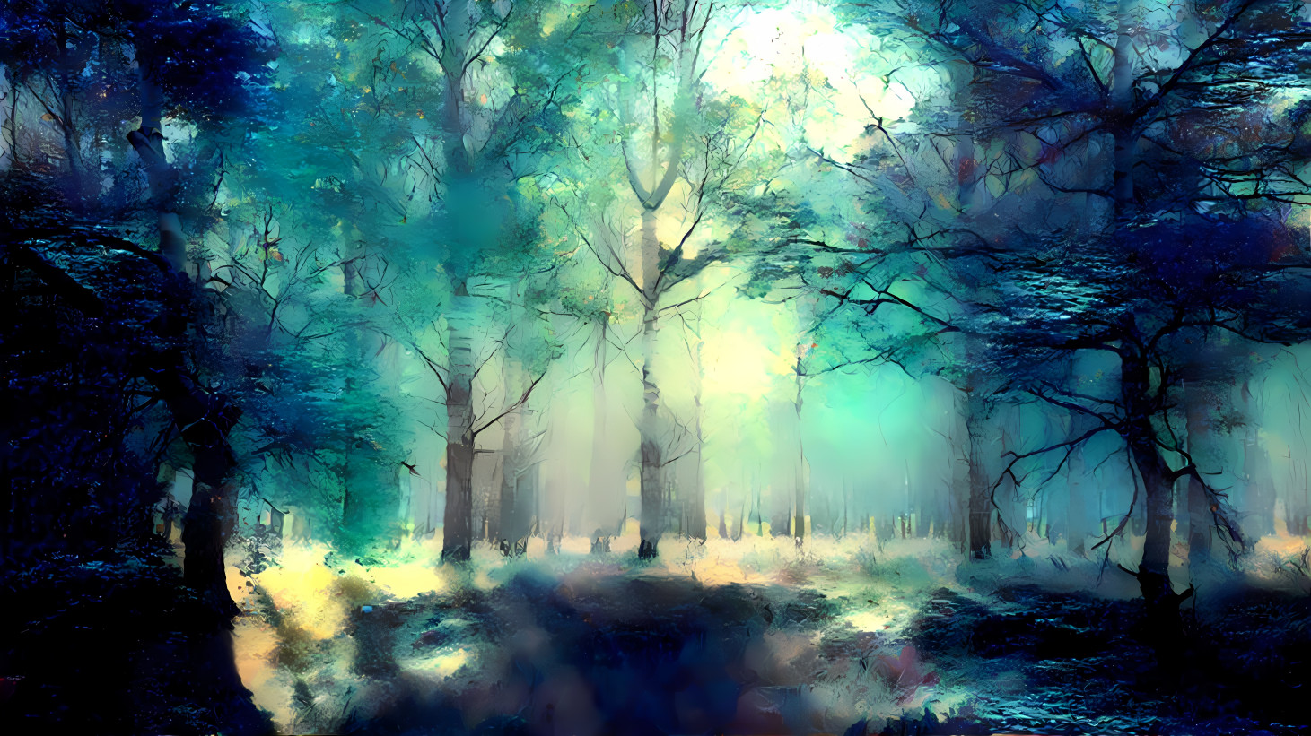 Midnight Forest