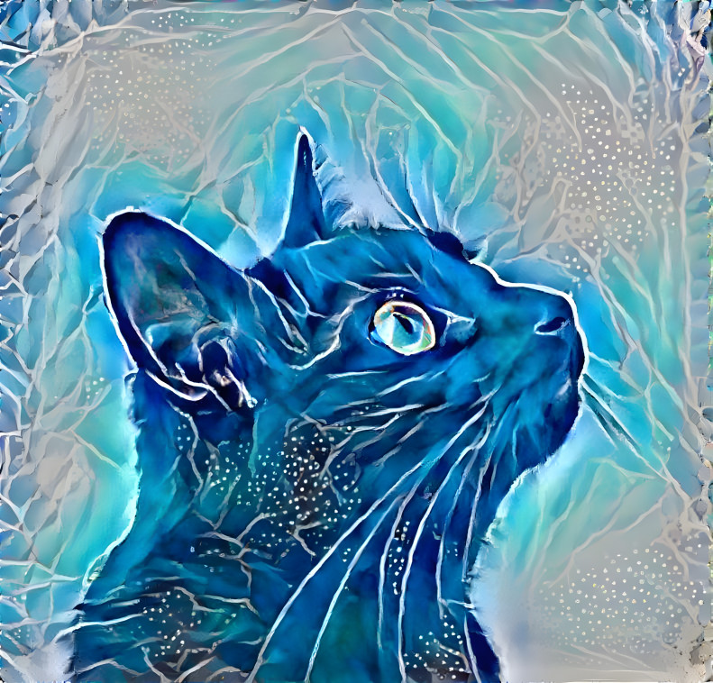 The Blue Cat