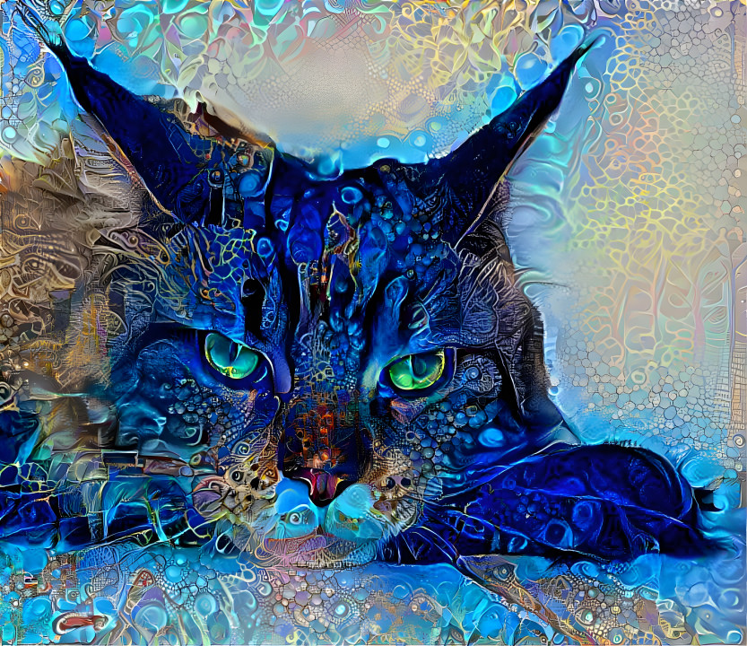 blue cat