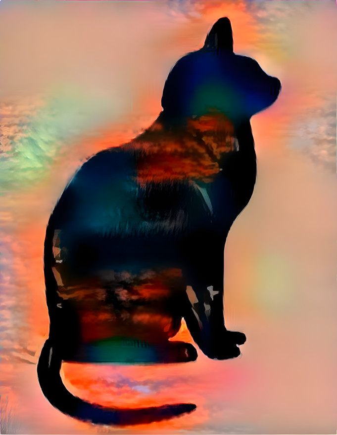 sunset cat