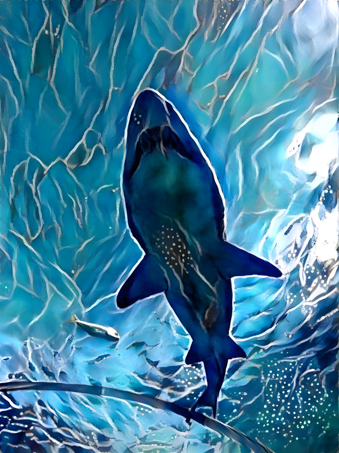 Fractal shark