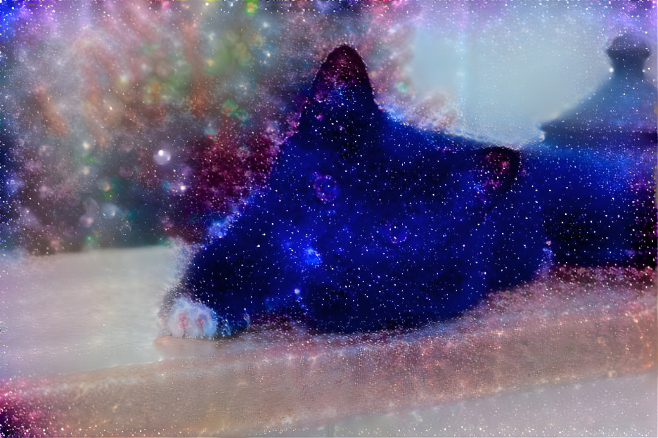 space cat