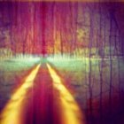 Blurred tree-lined path with mystical bokeh light effect