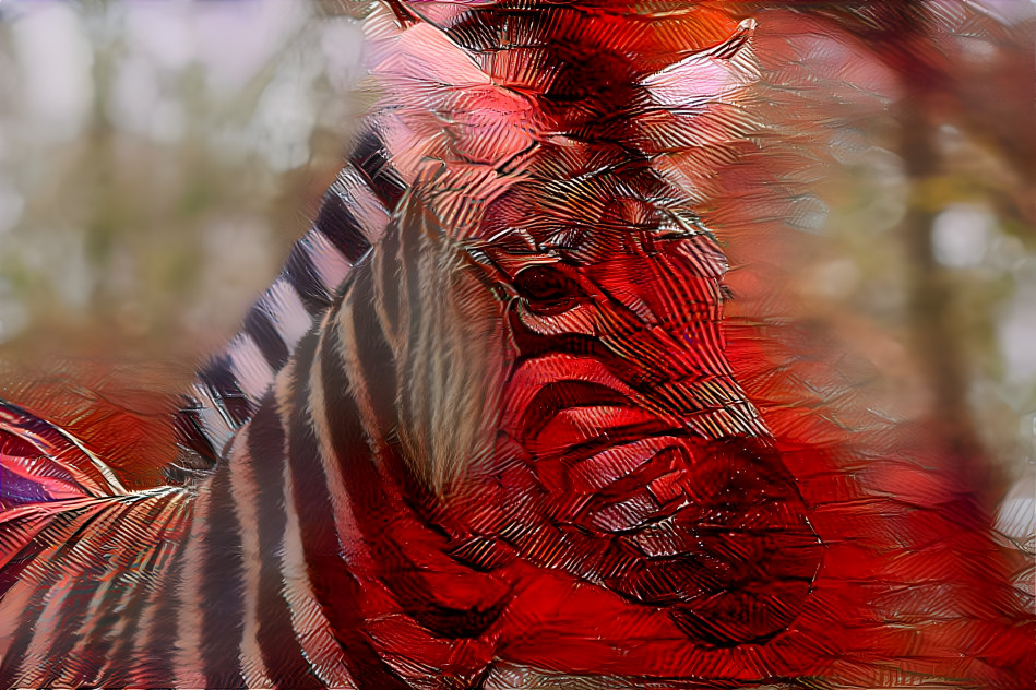 Red Zebra