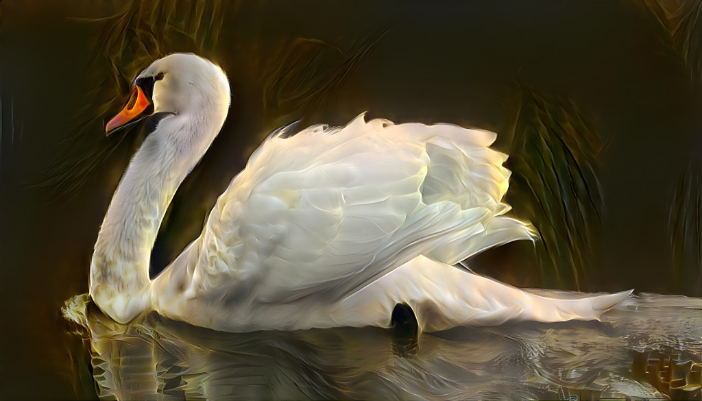 Swan