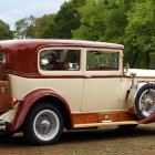 Steampunk-style vehicle with intricate metalwork on green landscape