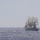 Tall ship sailing at dusk with seagulls and golden clouds