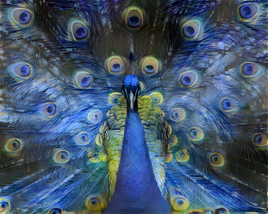 Peacock