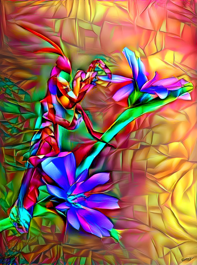 Fractal Mantis