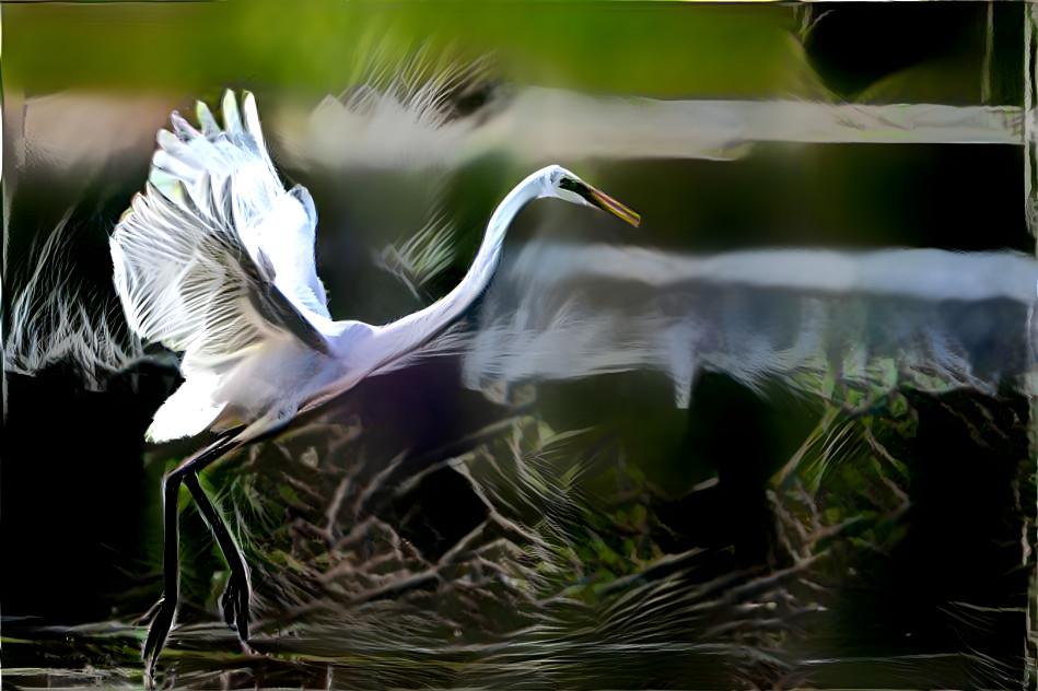 aigrette