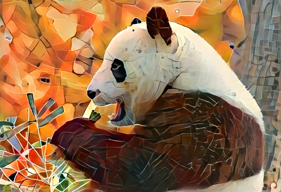 panda