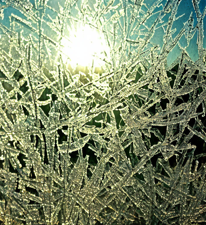 Detailed frost patterns on glass window with sparkling sunlight