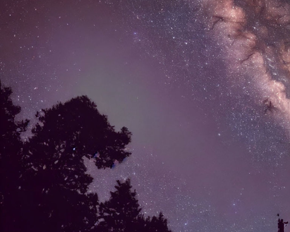 Starry Night Sky with Milky Way Galaxy and Silhouetted Treetops