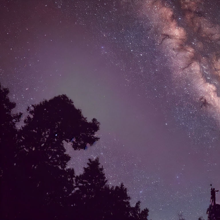 Starry Night Sky with Milky Way Galaxy and Silhouetted Treetops