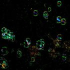 Vibrant soap bubbles on dark background with light reflections