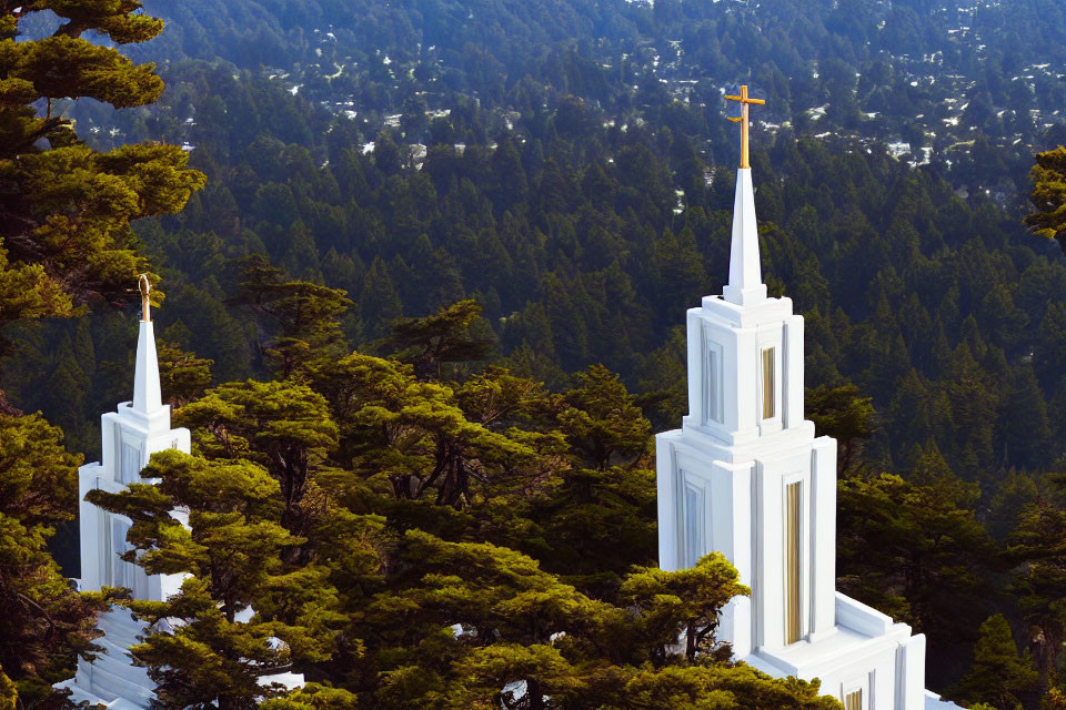 White Steeples with Crosses Amid Dense Green Trees