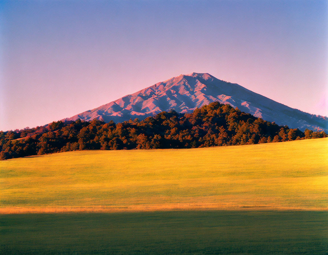 Scenic sunset over snowy mountain and golden grassland