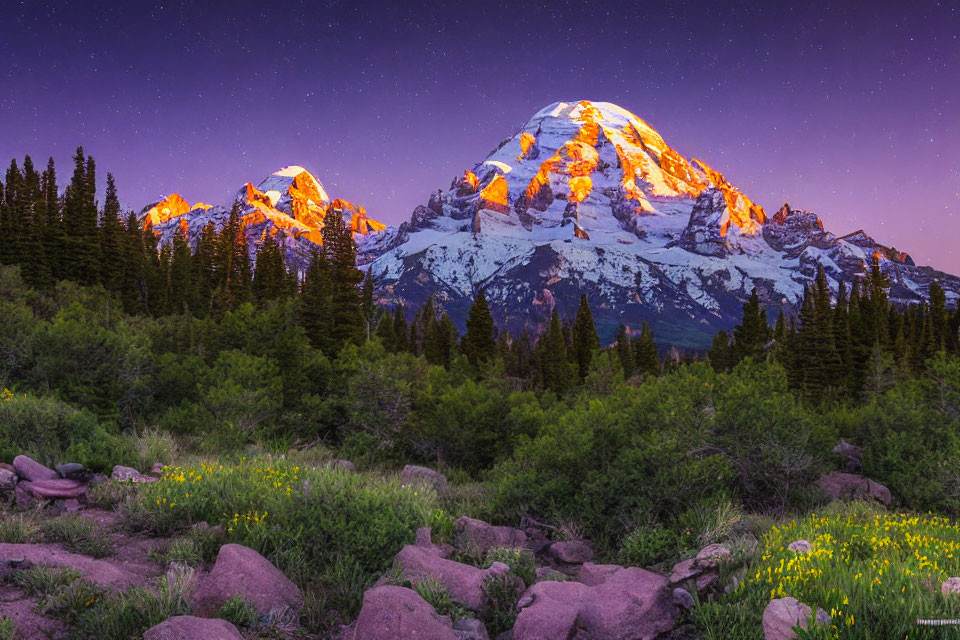 Snow-capped mountain at sunrise with starry sky, green forests, wildflowers, and rocks