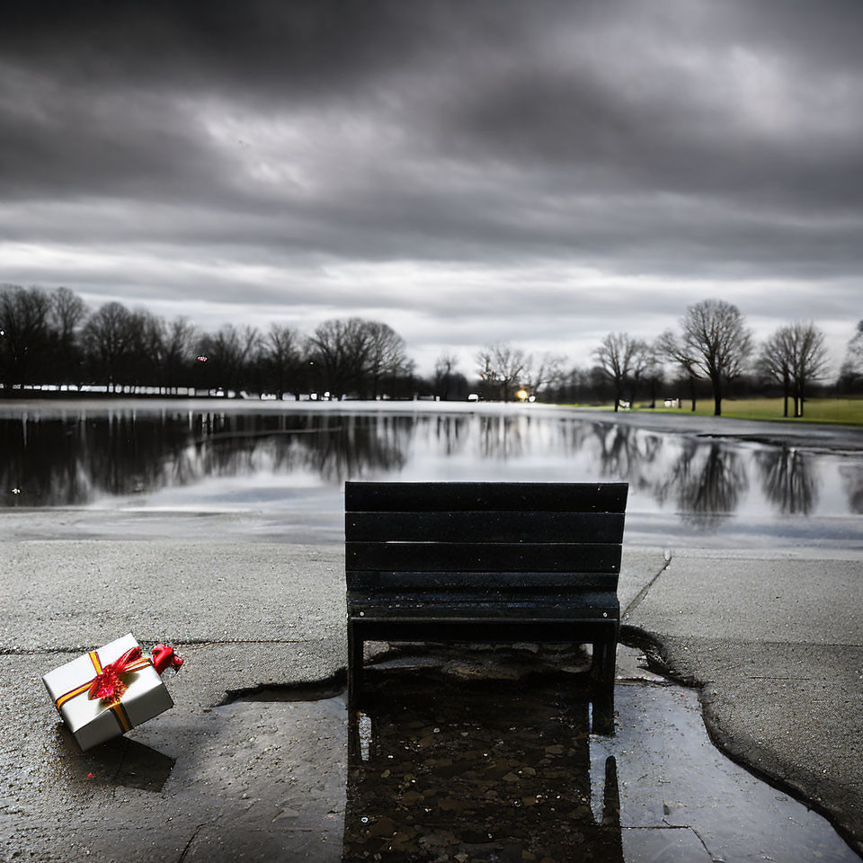 Black bench overlooking flooded park under cloudy sky with red-ribboned gift box.