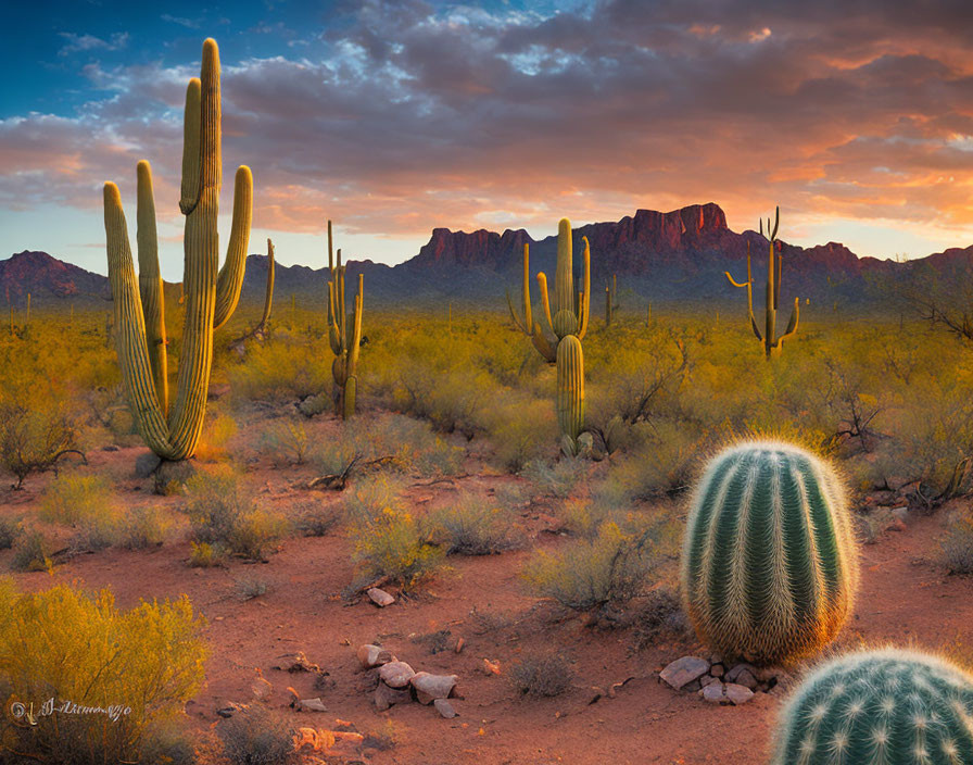 Vibrant desert sunset with saguaro cacti and mountains in background