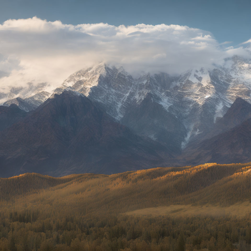 Snow-capped mountain range and autumn forest under cloudy sky