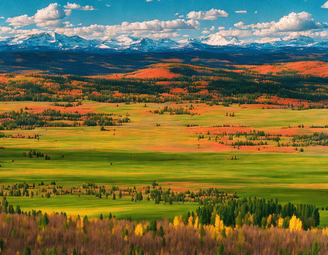 Colorful Autumn Foliage on Rolling Hills with Snow-Capped Mountains