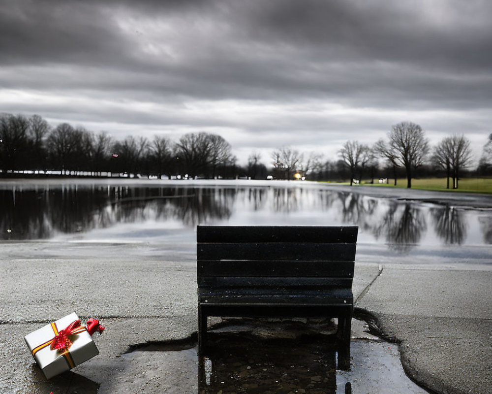 Black bench overlooking flooded park under cloudy sky with red-ribboned gift box.