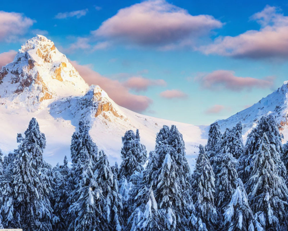 Snow-covered mountain peaks with sunlight, frosty pine trees, blue skies, and pink clouds.