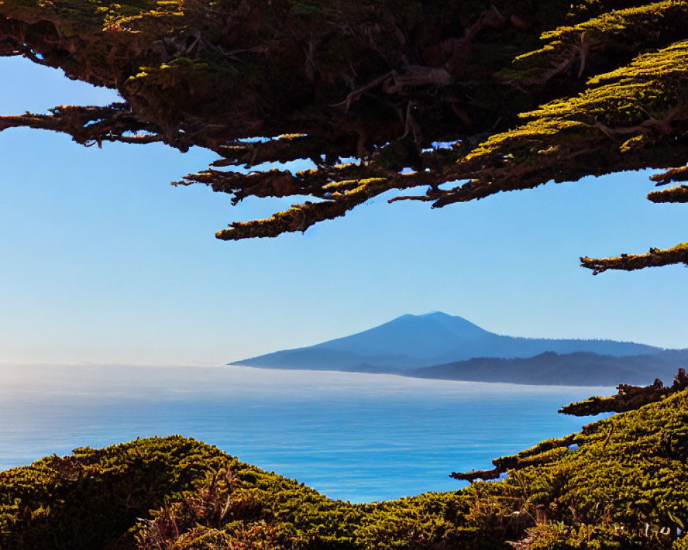 Scenic landscape with lush tree branches, distant mountain, sea, and clear sky