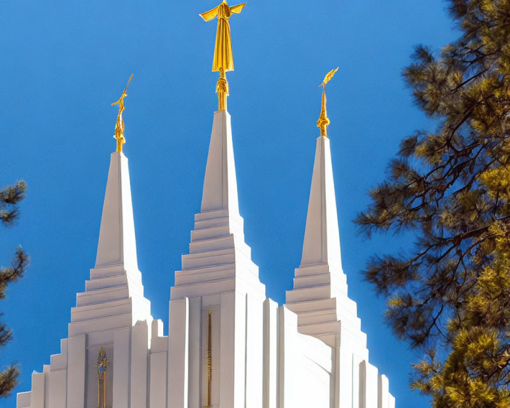 White spires with golden angel statues against blue sky and green pine branches.