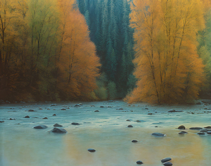 Tranquil river among vibrant autumn trees in shades of yellow and orange