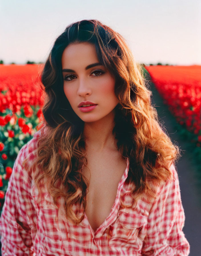 Curly-haired woman in checkered shirt in red flower field at sunset