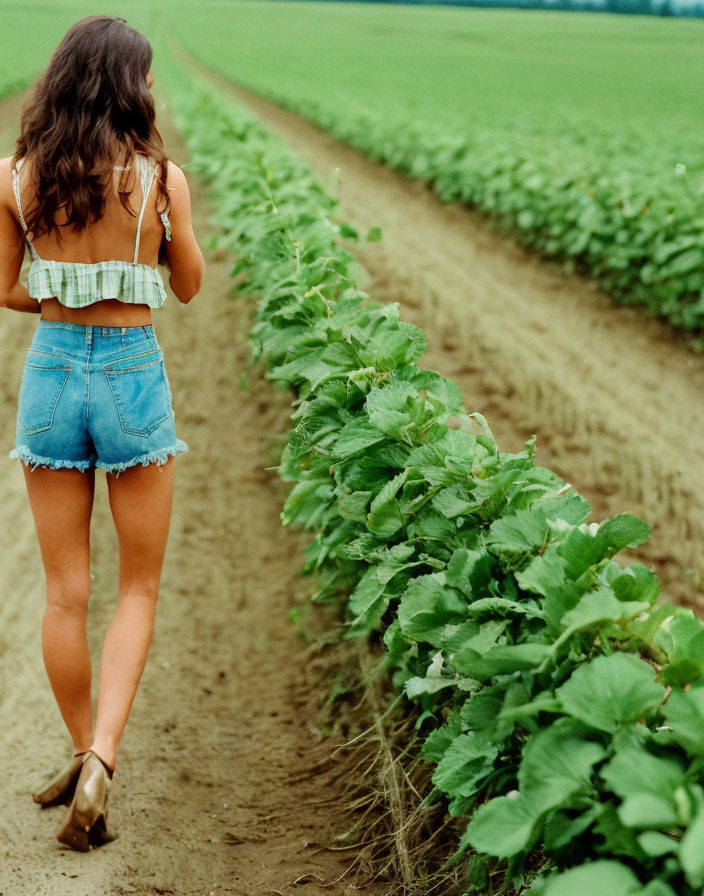 Woman in striped crop top and denim shorts walking by lush green plants in a field