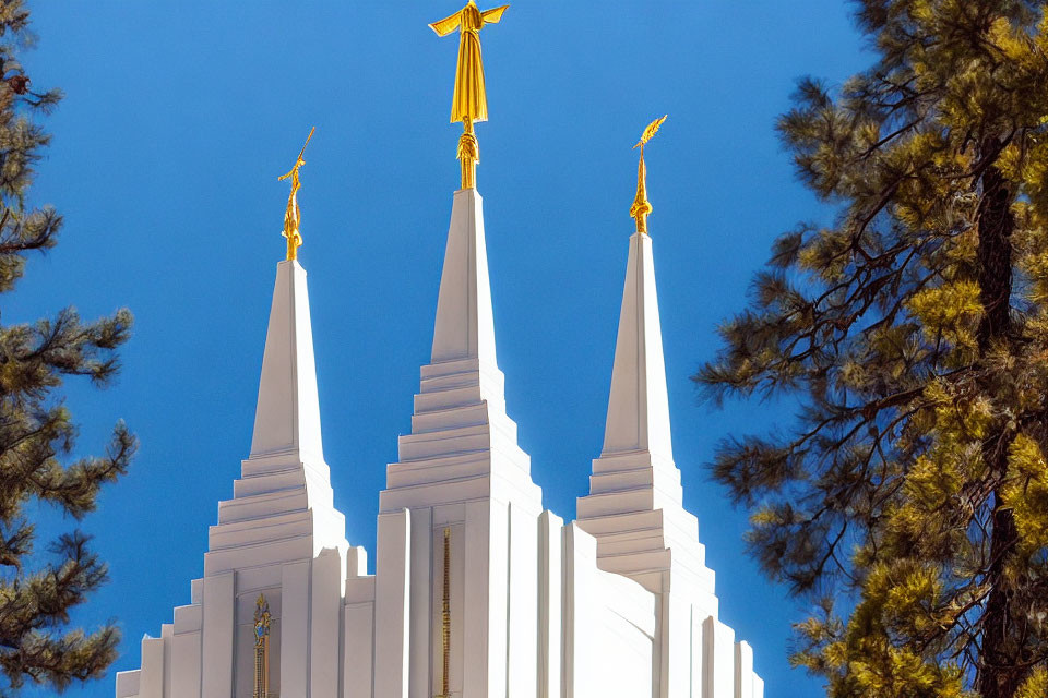 White spires with golden angel statues against blue sky and green pine branches.