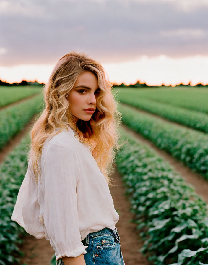 Blonde Woman in White Blouse and Jeans in Crop Field at Sunset